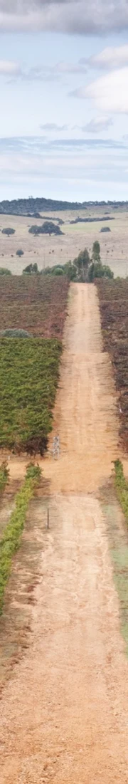 Herdade Da Candeeira Web 5